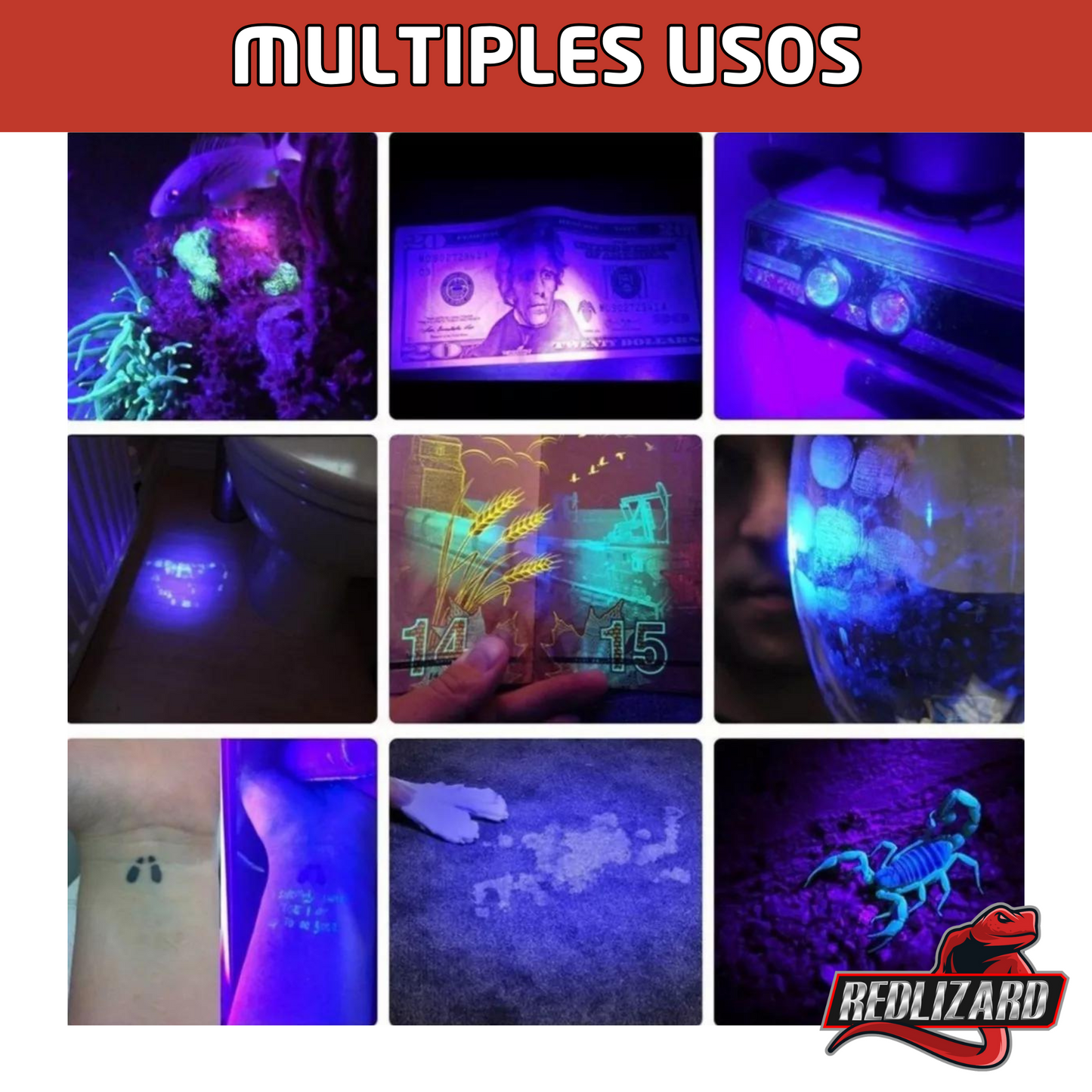 Lampara Led Uv Luz Negra Ultravioleta Recargable Usb