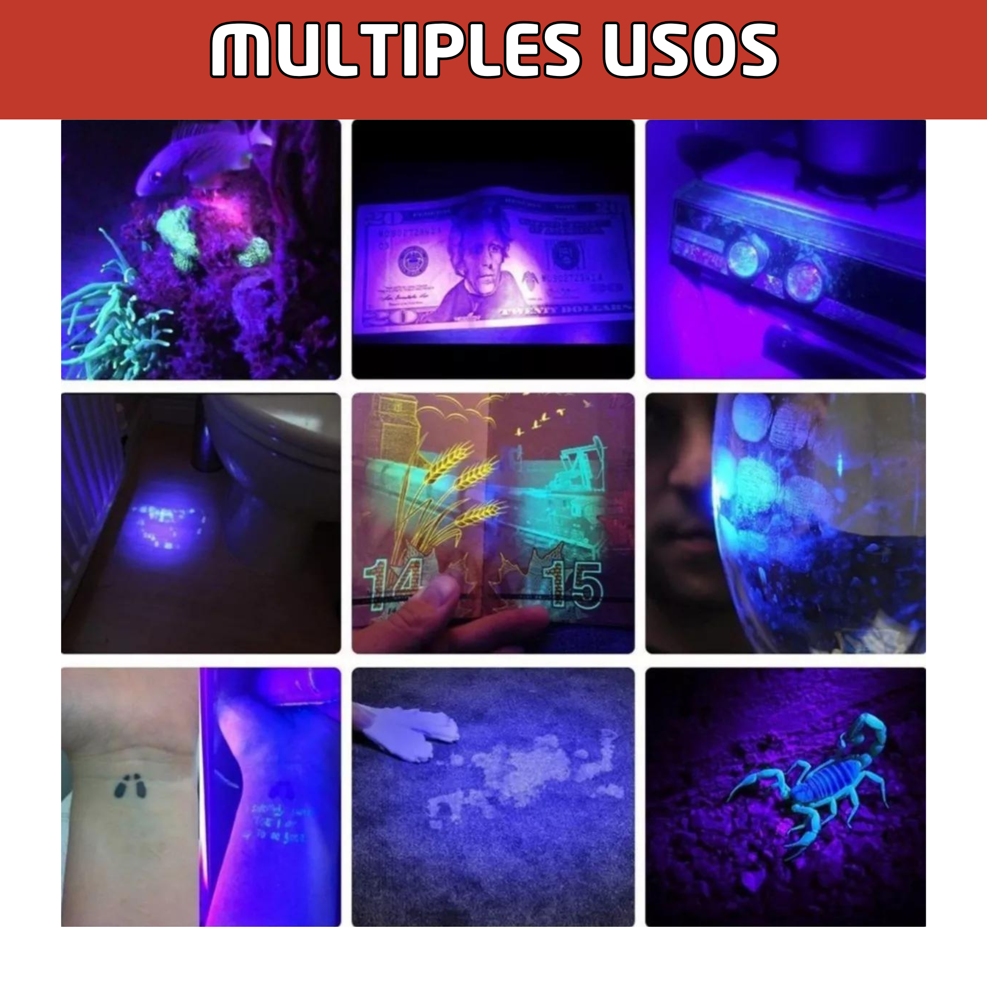 Lampara Led Uv Luz Negra Ultravioleta Recargable Usb